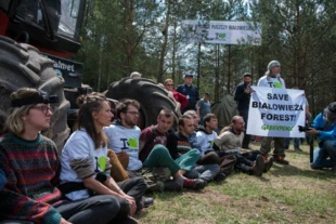 
Blokada wycinki drzew, Czerlonka, Puszcza Białowieska, czerwiec 2017. Fot. Paweł H. Głogowski, Reporter
