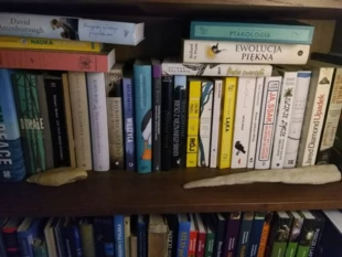 Jedna z czterech półek wydanych po polsku książek z nurtu „nature writing” w ostatnich latach. Fot. Jan Marcin Węsławski