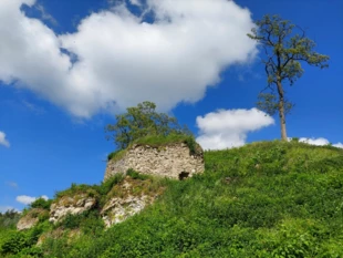 Podgrodzie. Wszystkie fotografie: Łukasz Misiuna