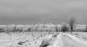 
Droga do Rezerwatu zimą. Fot. Janusz Korbel

