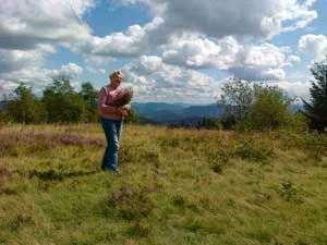 Z wrzosami na Koskowej Górze – tzw. estetyczny stosunek do przyrody. Fot. Leszek Sebesta