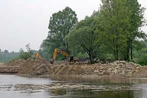 „Chroniony” w trakcie robót hydrotechnicznych łęg. Fot. Robert Wawręty