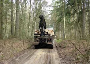 Rezerwat im. Szafera. Fot. Paweł Klimuk