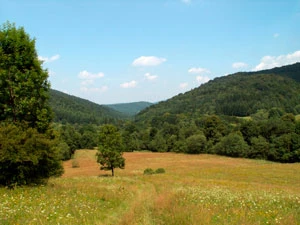 Beskid Niski. Fot. Krzysztof Wojciechowski