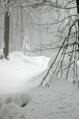 
Beskid Mały zimą. Fot. Radosław Ślusarczyk
