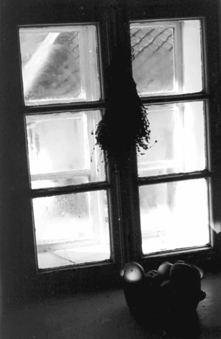 Fot. Katarzyna Krasuska