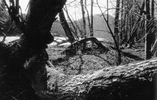 Bieszczady. Fot. Krzysztof Mazurkiewicz