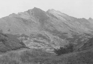 Alaska. Fot. Ira Mitchneck