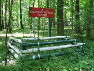Ogromna większość istniejących rezerwatów leży na gruntach Lasów Państwowych, równie liczne są jednak w lasach obiekty kwalifikujące się do ochrony a dotychczas nie chronione. Fot. Andrzej Jermaczek