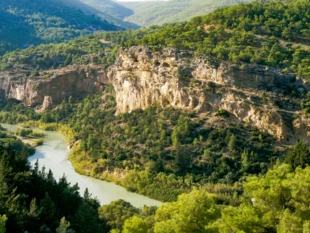 
Dolina rzeki Göksu – Silifke, prowincja Mersin. Fot. Aytaç Kurtuba
