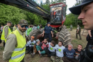 Blokada wycinki drzew, Czerlonka, Puszcza Białowieska, czerwiec 2017. Fot. Paweł H. Głogowski, Reporter