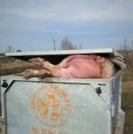 Kontener z badań terenowych. Fot. Wala Biryłko
