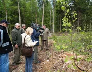 Miejsce, w którym zostały wycięte klony. Fot. Tomasz Tumiel