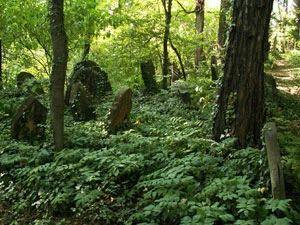 Kirkut w Cieszynie. Fot. Krzysztof Wojciechowski