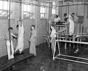 Fot. Z archiwum Cushing Memorial Library and Archives, Texas A&M