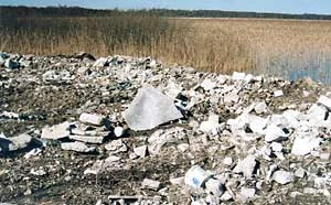 Gruzy nad Jez. Roś, 2003. Fot. Marek Łachacz