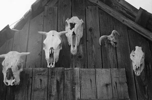 Fot. Dariusz Matusiak