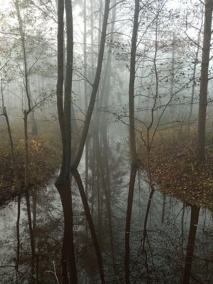 Zamglona rzeka Kamienna. Fot. Bartosz Świątek