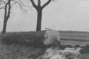 Droga koło miejscowości Piecki niedaleko Mrągowa. Fot. Krzysztof A. Worobiec