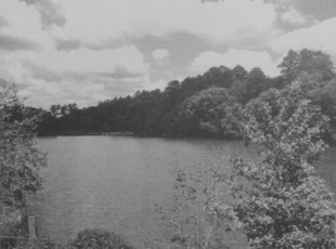 Fot. Archiwum Ogrodu Botanicznego w Mikołowie