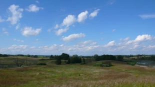 
Dzikie, rolniczo nieprzekształcone tereny w okolicy wsi Notyst Mały w powiecie mrągowskim mogą wkrótce zniknąć, bowiem tędy planowany jest północny wariant drogi S16. Fot. Krzysztof A. Worobiec
