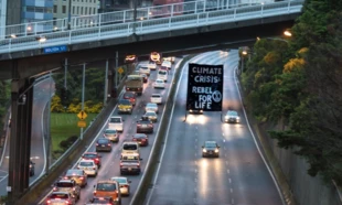 Flaga z protestu Extinction Rebellion w Wellington (2019), Heapsrich, Wikimedia Commons commons.wikimedia.org. Creative Commons 1.0