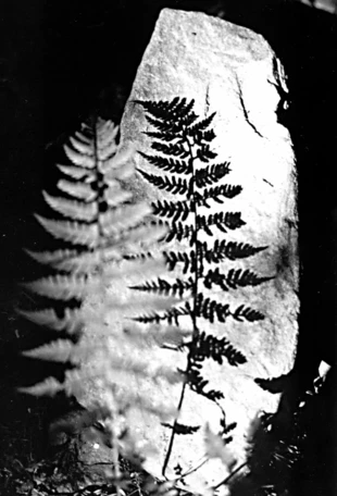 Fot. Dariusz Matusiak