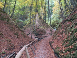 Jaworowski Park Narodowy. Fot. Krzysztof Wojciechowski