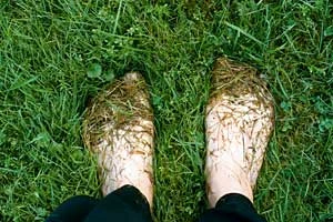 Fot. Muffet, flickr.com