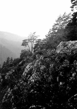 Fot. Katarzyna Mular