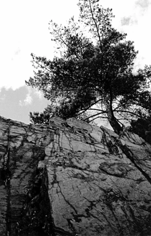 Fot. Andrzej Ginalski