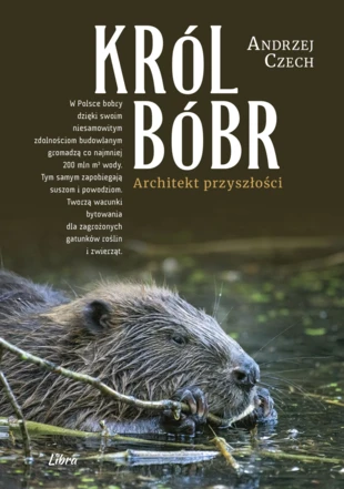 Okładka książki „Król bóbr”