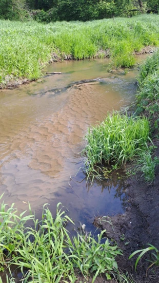 Rzeka Rządza przez Czubajowiznę. Fot. Andrzej Kołodziejczyk