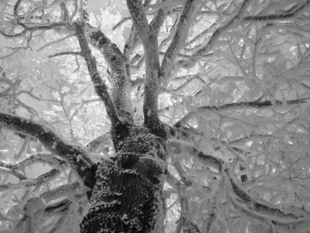 Fot. Barbara Tomaszewicz