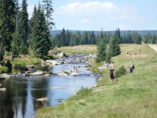 
Zdecydowanie za mało mamy rezerwatów chroniących naturalne odcinki rzek i ich doliny. Fot. Andrzej Jermaczek
