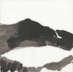 Agata Jóźwiak, Z cyklu „Pejzaże Karpat”: „Późna jesień. Bieszczady”, 2016, tusz, papier