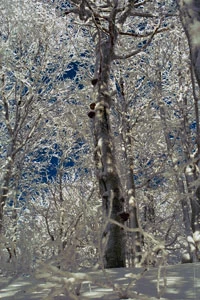 Fot. Ryszard Kulik