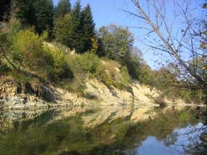 Osuwisko nad Wisłoką. Fot. Ryszard Babiasz