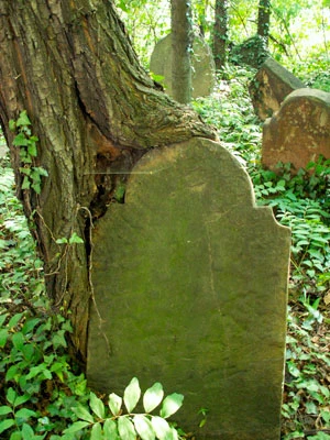 Kirkut w Cieszynie. Fot. Krzysztof Wojciechowski