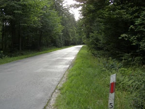 Droga przez Puszcze miedzy Białowieżą, a Hajnówką, po obu stronach rezerwat im. Władysława Szafera. Fot. Adam Bohdan
