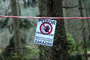 Szumawa. Fot. Markéta Jedličková, hnutiduha.cz