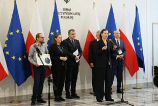 Adwokatka Karlina Kuszlewicz podczas konferencji w Senacie. Fot. Cezary Kowalski