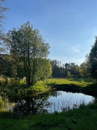 Naturalne oczka wodne. Fot. Anna Korn-Barcikowska