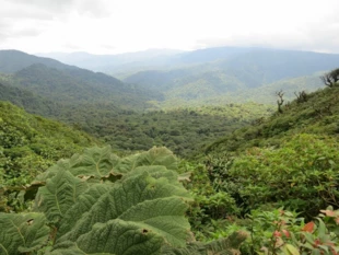 
Kostaryka jest krajem, w którym dobrostan ludzi został osiągnięty stosunkowo niskim kosztem środowiskowym. Fot. Pixabay
