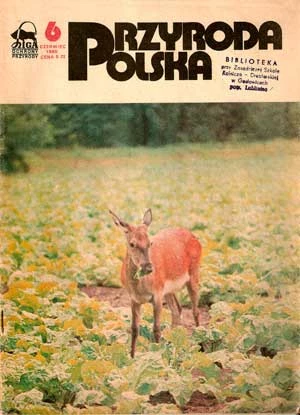 Przyroda Polska – okładka z roku 1980