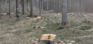 Dół: A tak wygląda w praktyce ochrona przez gospodarowanie... Fot. Janusz Korbel