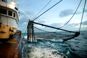 
Holenderski trawler poławiający ryby przydenne m.in. dorsze, sole, gładzice na Morzu Północnym. Copyright: Corey Arnold &amp; Pew
