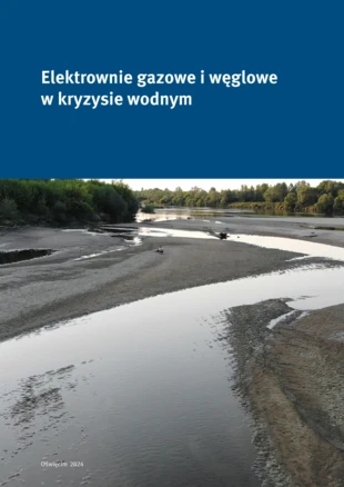 Okładka raportu Elektrownie gazowe i węglowe