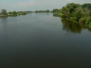 Dolna Odra. Fot. Ryszard Kulik