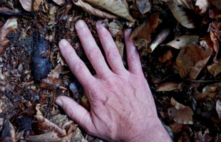 Prawdziwa inteligencja ciała. Fot. Ryszard Kulik